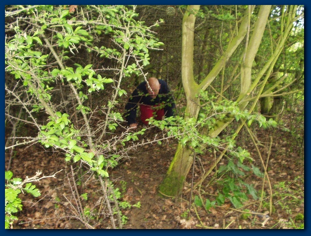 600x449 pixels (200K)